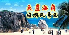 黄色搞鸡视频网站下载海南三亚-天崖海角旅游风景区