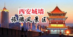 骚逼射骚逼鸡巴中国陕西-西安城墙旅游风景区
